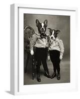 Boston Terriers-J Hovenstine Studios-Framed Giclee Print