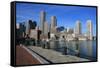 Boston-cpenler-Framed Stretched Canvas