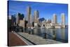 Boston-cpenler-Stretched Canvas