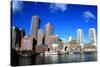 Boston-cpenler-Stretched Canvas