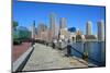 Boston-cpenler-Mounted Photographic Print