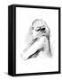 Boswell, Holl, Lawrence-F Holl-Framed Stretched Canvas