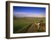 Bosworth Battlefield Country Park, Site of the Battle of Bosworth in 1485, Leicestershire, England-David Hughes-Framed Photographic Print