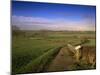 Bosworth Battlefield Country Park, Site of the Battle of Bosworth in 1485, Leicestershire, England-David Hughes-Mounted Photographic Print