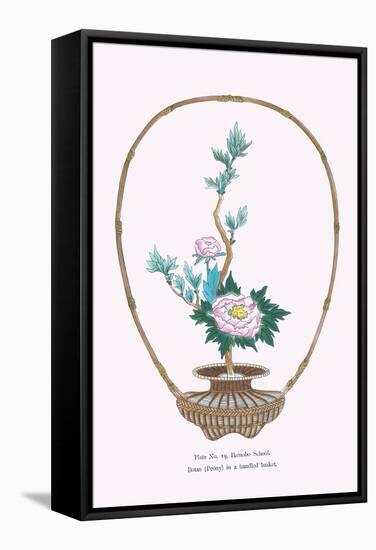 Botan (Peony) In a Handheld Basket-Josiah Conder-Framed Stretched Canvas