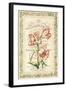 Botanic Cabinet-Zachary Alexander-Framed Art Print