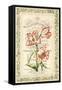 Botanic Cabinet-Zachary Alexander-Framed Stretched Canvas