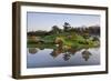 Botanic Dawn I-Larry Malvin-Framed Photographic Print