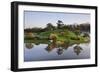 Botanic Dawn I-Larry Malvin-Framed Photographic Print