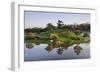 Botanic Dawn I-Larry Malvin-Framed Photographic Print