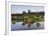 Botanic Dawn I-Larry Malvin-Framed Photographic Print