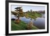 Botanic Dawn II-Larry Malvin-Framed Photographic Print