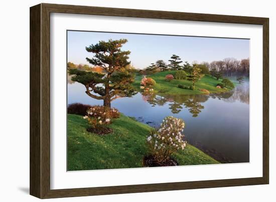 Botanic Dawn II-Larry Malvin-Framed Photographic Print