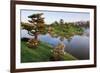 Botanic Dawn II-Larry Malvin-Framed Photographic Print