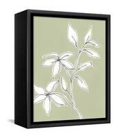 Botanic Drawing I-Regina Moore-Framed Stretched Canvas