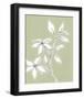 Botanic Drawing I-Regina Moore-Framed Art Print