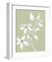 Botanic Drawing I-Regina Moore-Framed Art Print