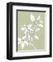 Botanic Drawing I-Regina Moore-Framed Art Print