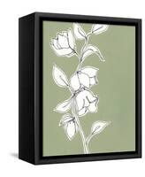 Botanic Drawing II-Regina Moore-Framed Stretched Canvas