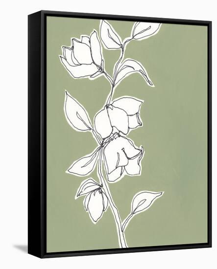 Botanic Drawing II-Regina Moore-Framed Stretched Canvas