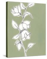 Botanic Drawing II-Regina Moore-Stretched Canvas