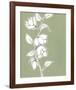 Botanic Drawing II-Regina Moore-Framed Art Print