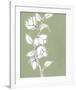 Botanic Drawing II-Regina Moore-Framed Art Print