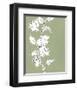 Botanic Drawing II-Regina Moore-Framed Art Print