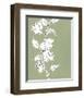 Botanic Drawing II-Regina Moore-Framed Art Print