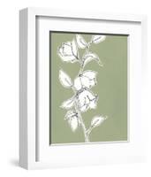 Botanic Drawing II-Regina Moore-Framed Art Print