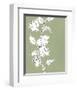 Botanic Drawing II-Regina Moore-Framed Art Print