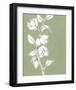 Botanic Drawing II-Regina Moore-Framed Art Print