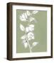 Botanic Drawing II-Regina Moore-Framed Art Print