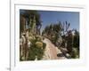 Botanic Garden (Jardin Exotique), Eze Village, Alpes Maritimes, Provence, Cote d'Azur, France-Sergio Pitamitz-Framed Photographic Print