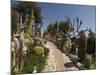 Botanic Garden (Jardin Exotique), Eze Village, Alpes Maritimes, Provence, Cote d'Azur, France-Sergio Pitamitz-Mounted Photographic Print