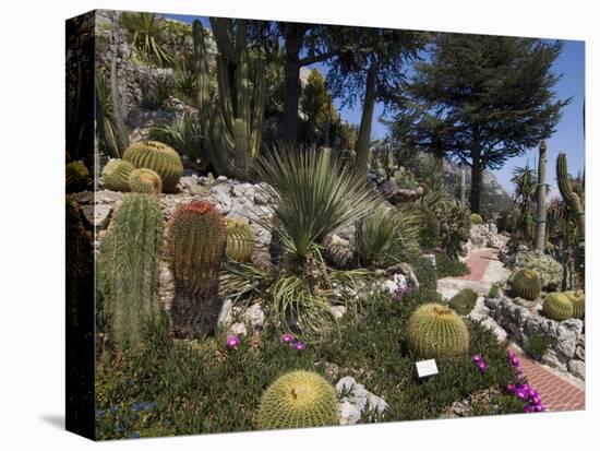 Botanic Garden (Jardin Exotique), Eze Village, Alpes Maritimes, Provence, Cote d'Azur, France-Sergio Pitamitz-Stretched Canvas