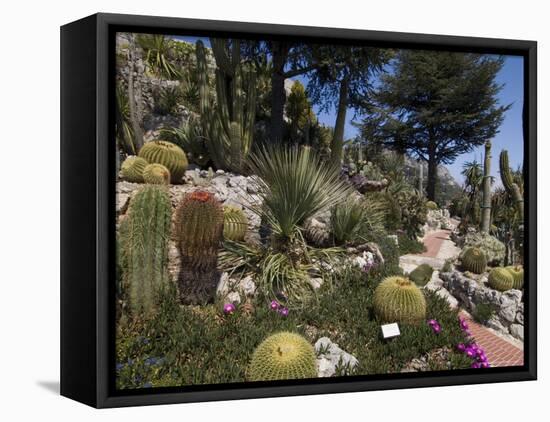 Botanic Garden (Jardin Exotique), Eze Village, Alpes Maritimes, Provence, Cote d'Azur, France-Sergio Pitamitz-Framed Stretched Canvas