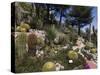 Botanic Garden (Jardin Exotique), Eze Village, Alpes Maritimes, Provence, Cote d'Azur, France-Sergio Pitamitz-Stretched Canvas