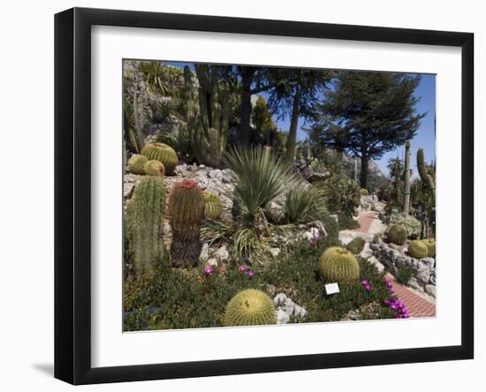 Botanic Garden (Jardin Exotique), Eze Village, Alpes Maritimes, Provence, Cote d'Azur, France-Sergio Pitamitz-Framed Photographic Print