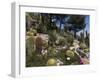 Botanic Garden (Jardin Exotique), Eze Village, Alpes Maritimes, Provence, Cote d'Azur, France-Sergio Pitamitz-Framed Photographic Print