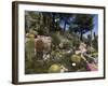 Botanic Garden (Jardin Exotique), Eze Village, Alpes Maritimes, Provence, Cote d'Azur, France-Sergio Pitamitz-Framed Photographic Print