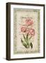 Botanic Garden-Zachary Alexander-Framed Art Print