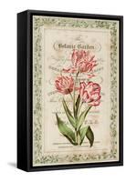 Botanic Garden-Zachary Alexander-Framed Stretched Canvas