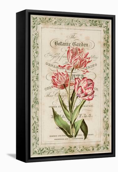 Botanic Garden-Zachary Alexander-Framed Stretched Canvas