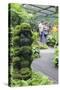 Botanic Gardens, Singapore, Southeast Asia, Asia-Christian Kober-Stretched Canvas