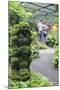 Botanic Gardens, Singapore, Southeast Asia, Asia-Christian Kober-Mounted Photographic Print