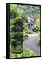 Botanic Gardens, Singapore, Southeast Asia, Asia-Christian Kober-Framed Stretched Canvas