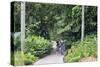Botanic Gardens, Singapore, Southeast Asia, Asia-Christian Kober-Stretched Canvas