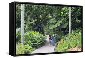 Botanic Gardens, Singapore, Southeast Asia, Asia-Christian Kober-Framed Stretched Canvas