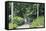 Botanic Gardens, Singapore, Southeast Asia, Asia-Christian Kober-Framed Stretched Canvas